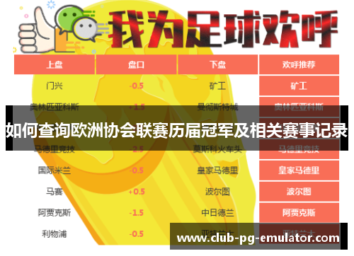 如何查询欧洲协会联赛历届冠军及相关赛事记录 如何查询欧洲协会联赛历届冠军及相关赛事记录