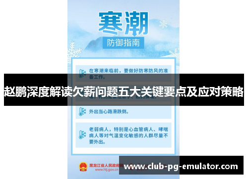 赵鹏深度解读欠薪问题五大关键要点及应对策略