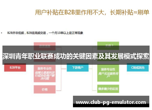 深圳青年职业联赛成功的关键因素及其发展模式探索
