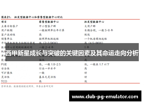 西甲新星成长与突破的关键因素及其命运走向分析