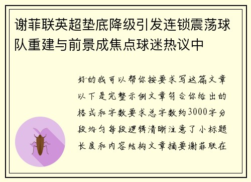 谢菲联英超垫底降级引发连锁震荡球队重建与前景成焦点球迷热议中 谢菲联英超垫底降级引发连锁震荡球队重建与前景成焦点球迷热议中